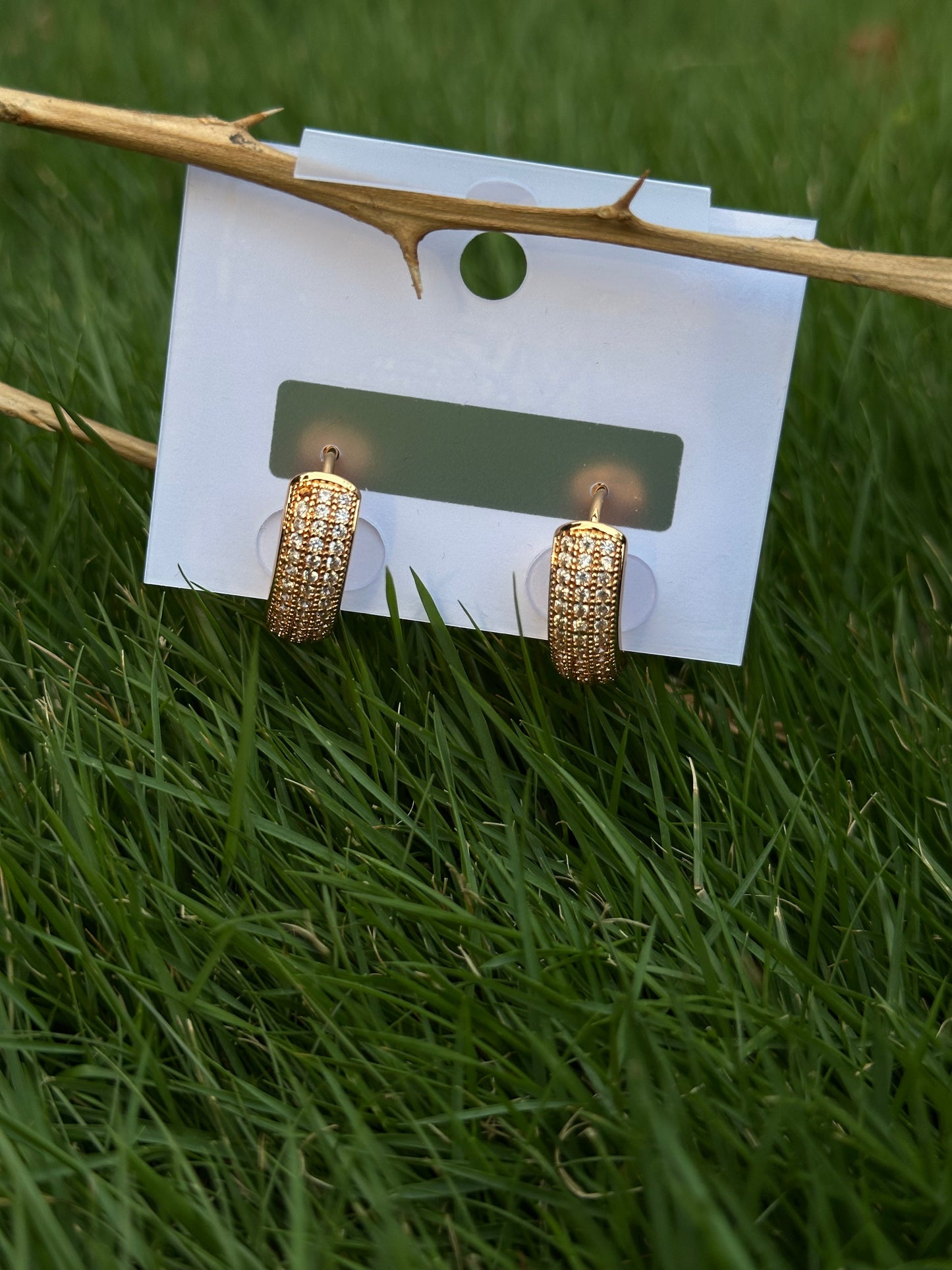 Elegant Stainless Steel Hoop Earrings with Sparkling Crystals