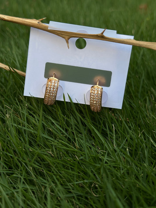 Elegant Stainless Steel Hoop Earrings with Sparkling Crystals